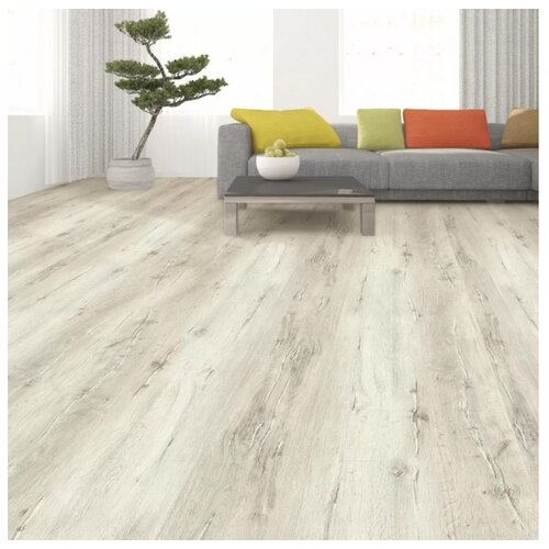 Laminat 8mm BEYDAG Cijene