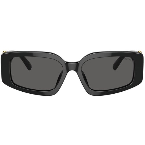 Tiffany Naočare za sunce TF 4208U 8001S4 Cene