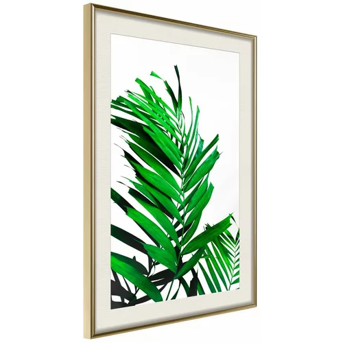  Poster - Emerald Palm 20x30