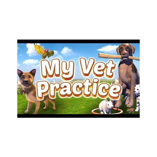 Steam My Vet Practice (PC) Key GLOBAL Cene