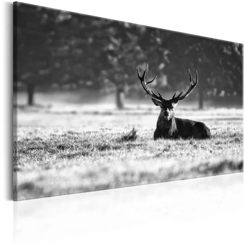  Slika - Lying Deer 90x60