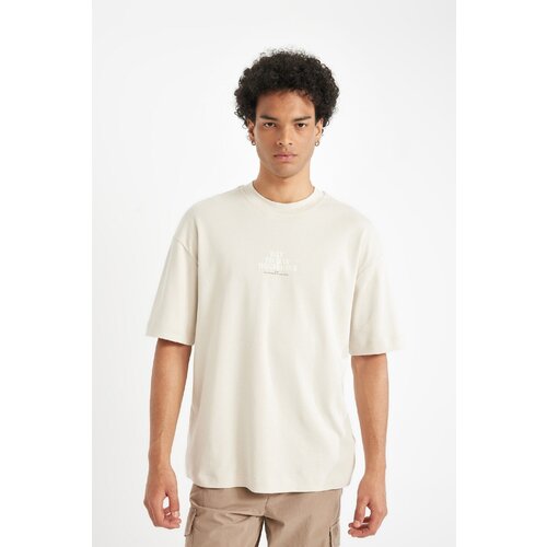 Defacto Boxy Fit Crew Neck Printed Heavy Fabric Short Sleeve T-Shirt Cene