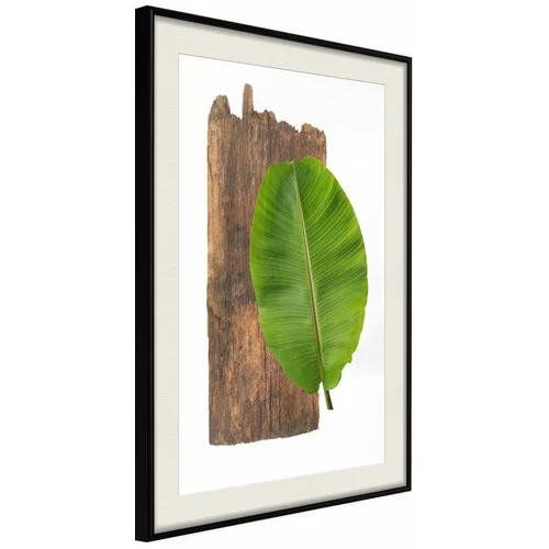  Poster - Forest Nature 20x30