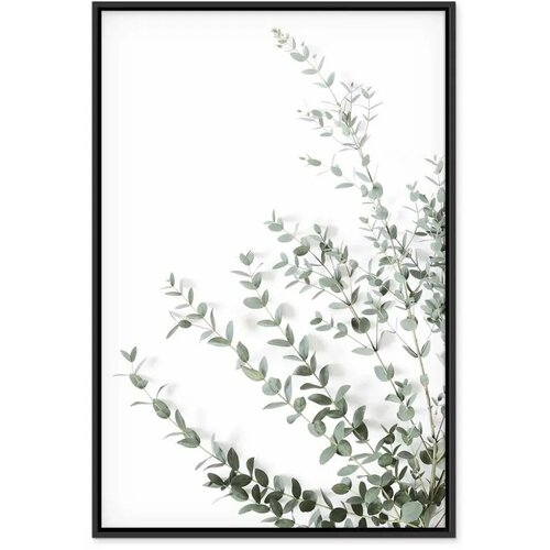  Slika - Eucalyptus Parvifolia (1 Part) Vertical 80x120 Slike