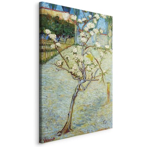  Slika - Vincent van Gogh &ndash; Blossoming Pear Tree 60x90 Na talijanskom platnu Cijene