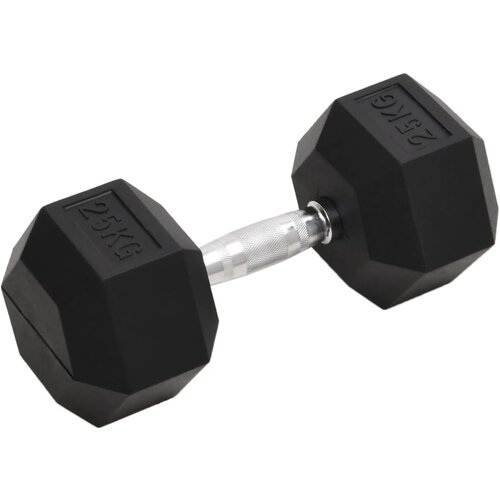 vidaXL Uteži 25 kg lito železo Cene