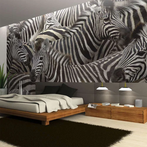  tapeta - Herd of zebras 250x193