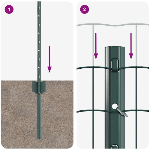 Euro ograda s postom 50 x 0,6 m Čelik premazan PVC-om Zelena Slike
