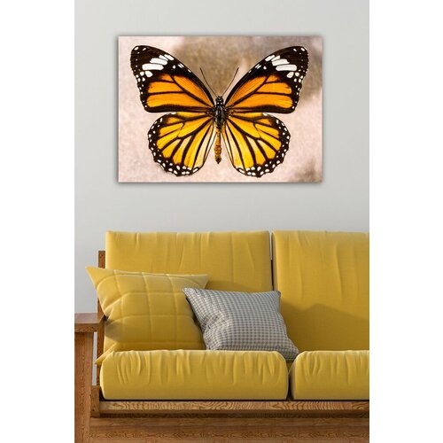 Wallity Slika 1075109996, 50x70 cm Cene