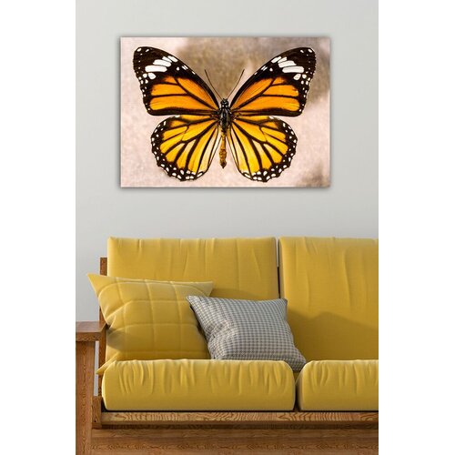 Wallity Slika 1075109996, 50x70 cm Cene