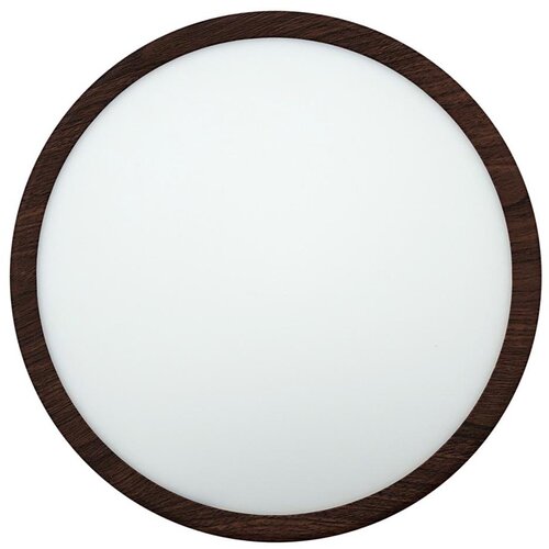  LED plafonsko svetlo LED/24W/230V 3000/4000/6500K, prečnik 30 cm, braon Slike
