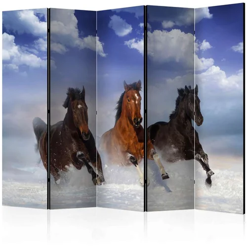  Paravan u 5 dijelova - Horses in the Snow II [Room Dividers] 225x172