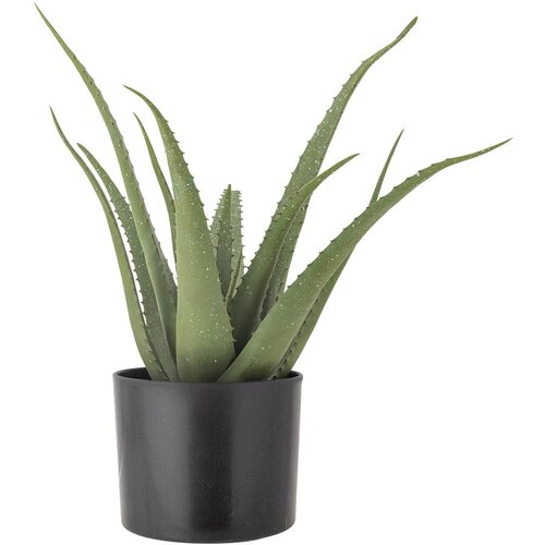 Bloomingville Umetna rastlina (višina 61 cm) Aloe – Cene