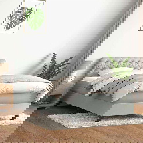 Box Spring krevet s madracem svijetlo sivi 80x220 cm samt Slike