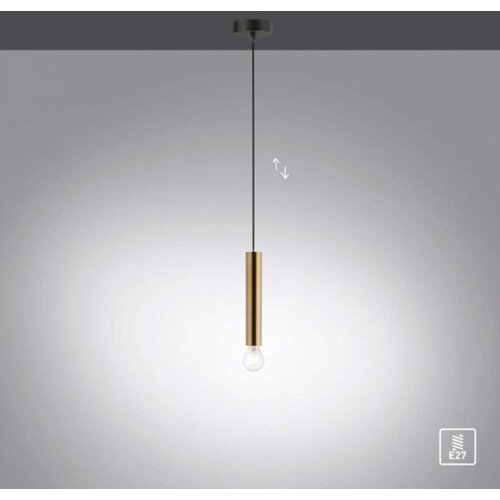LEUCHTEN DIREKT 15617-60 - Luster na sajli BRUNA 1xE27/60W/230V mesing Slike