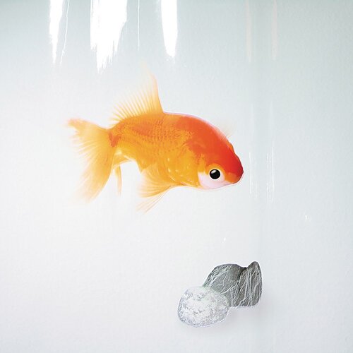 Spirella Zavesa za tu&amp;scaron; 180x200 cm Goldfish &amp;ndash; Slike