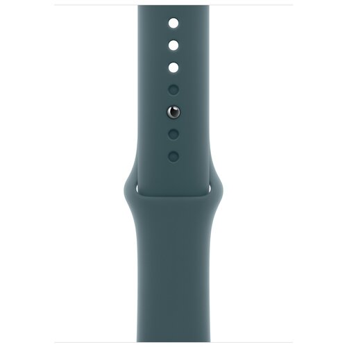 Apple MXLQ3ZM /A Smart Wearable Accessories Band Green Fluoroelastomer Cijene