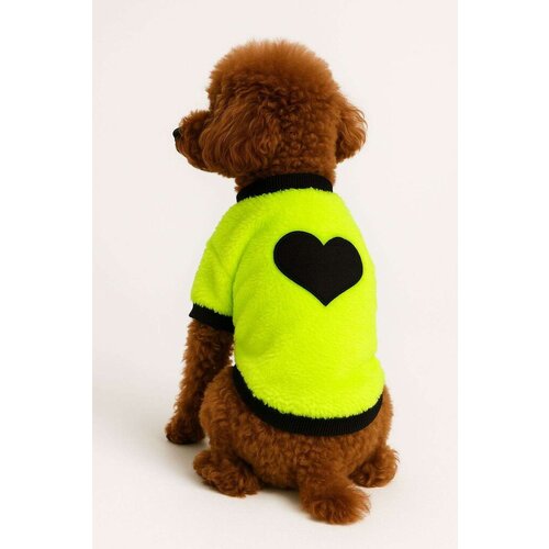 Paws & Whiskers Odelo za pse Neongreensweat, Zeleno Cene