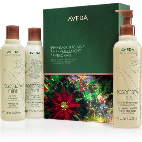 Aveda Holiday Invigorating Awe Rosemary Mint Hair & Body Essentials božični darilni set Cene