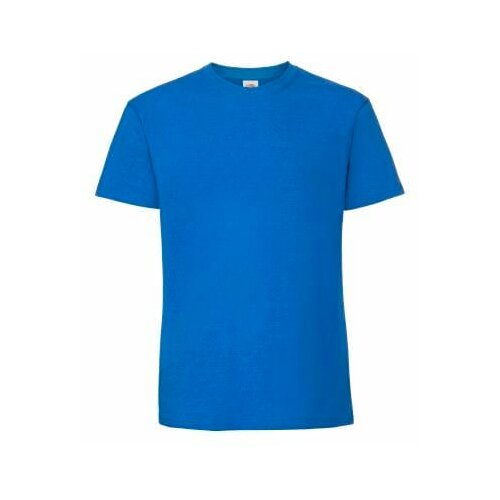 Fruit Of The Loom Blue Men's T-shirt Iconic 195 Ringspun Premium Cene