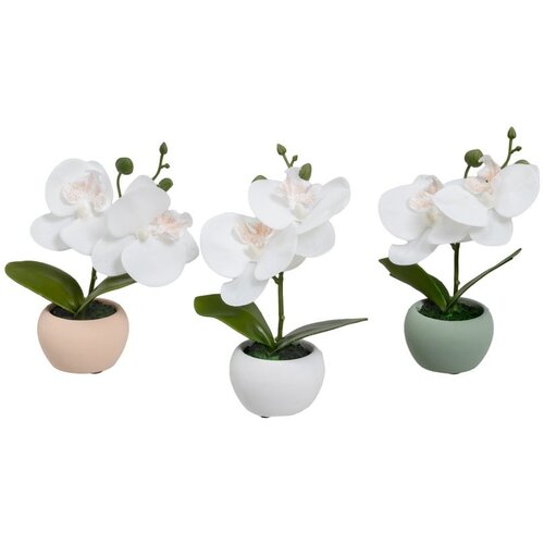 Casa Selección Umetne rastline v kompletu 3 ks (višina 15 cm) Orchid – Cene
