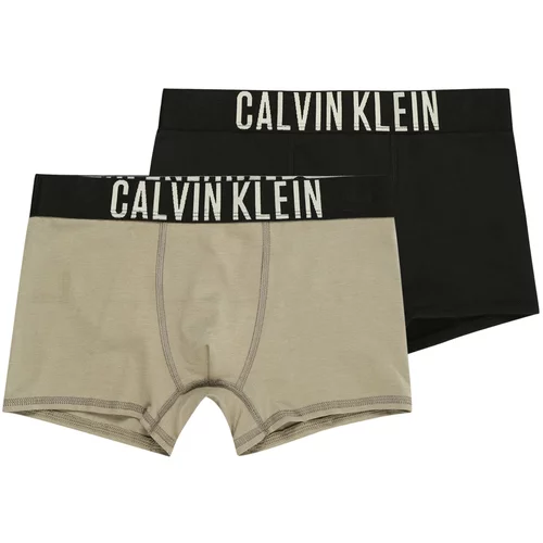 Calvin Klein Underwear Spodnjice 'Intense Power' bež / črna / bela