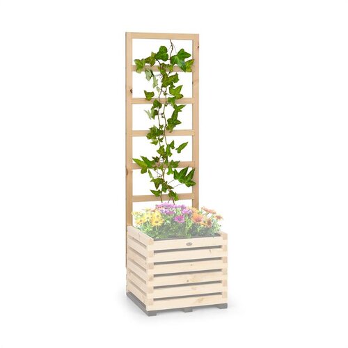 Blumfeldt modu grow 50 up, mrežica za rastline, 151 x 50 x 3 cm, bor Cene