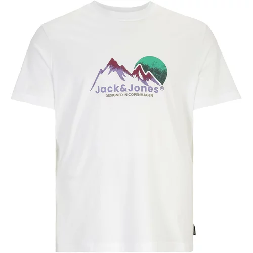 Jack & Jones Plus Majica 'SILVERLAKE G' zelena / kaki / lila / bela