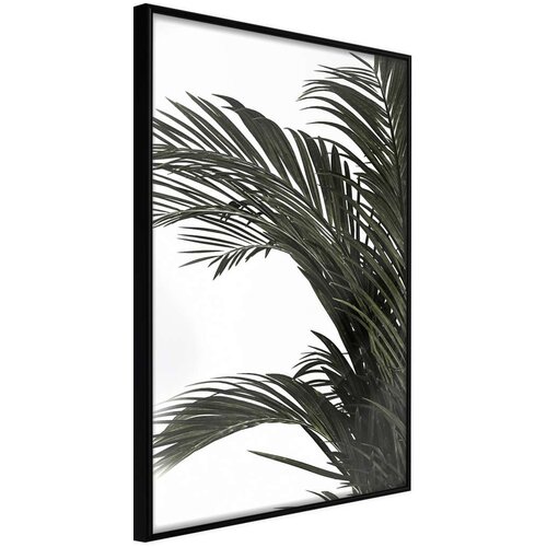  Poster - Jungle Scent 30x45 Slike