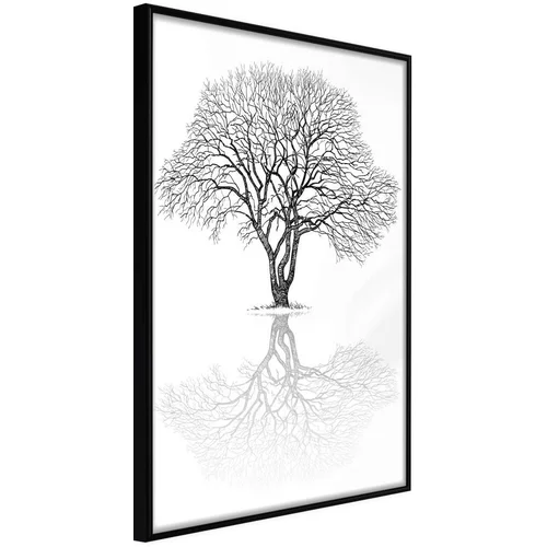  Poster - Roots or Treetop? 20x30