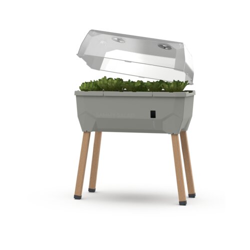 Gusta Garden Visoka greda SAMMY SALAD z rezervoarjem za vodo in pokrovom - Svetlo siva Slike