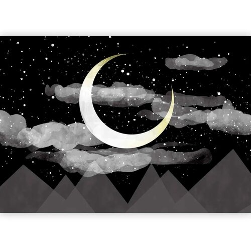  Foto tapeta - Night Glow 350x256 Premium Cijene