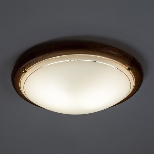 Brilagi plafonsko svetlo orbis 2xE27/60W/230V &amp;oslash; 38 cm borovina Slike