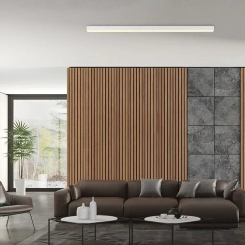  led plafonska svetiljka pure lines bela dimabilna paul neuhaus Cene