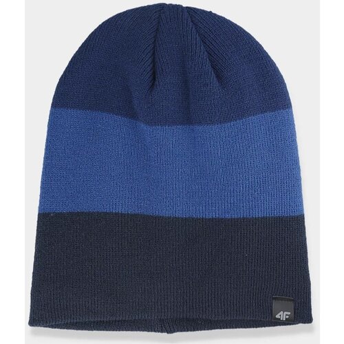 Kesi Men&amp;#039;s winter hat 4F dark blue Slike
