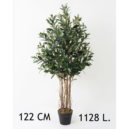  Stablo masline  visina122cm Cene