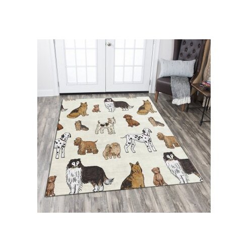 Conceptum Hypnose tepih Csbrghl-168, 100x140cm, &scaron;areni Cijene