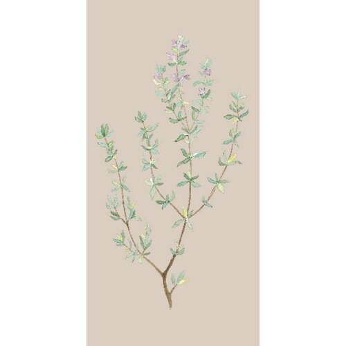 IB Laursen Papirnate serviete &amp;quot;Vejica timijana&amp;quot; - 16 k. Slike