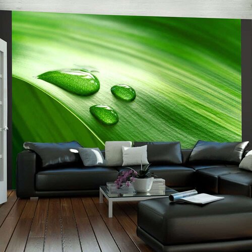  Tapeta - Leaf and three drops of water 300x231 Slike