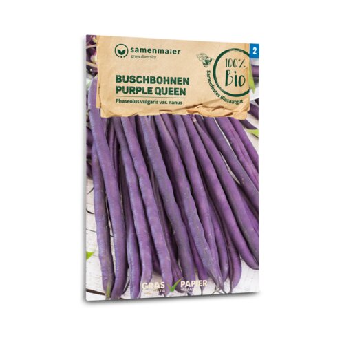 Samen Maier Bio grmičasti fižol "Purple Queen" Cene