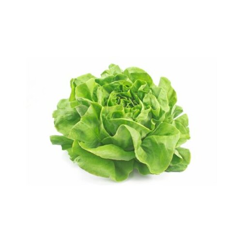 Rinfuz zelena salata Cene