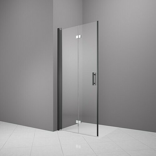 CAMARGUE Vario Sklopiva vrata za tuširanje (80 x 195 cm, Premazano, Debljina: 6 mm, Crne boje) Cijene
