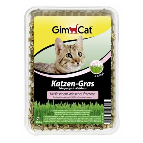 Gimborn Soft-Grass - aromatizovana trava za mačke 100gr Slike