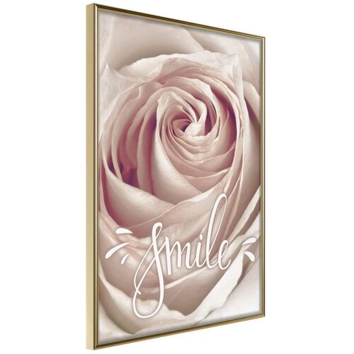  Poster - Rose with a Message 40x60 Cijene