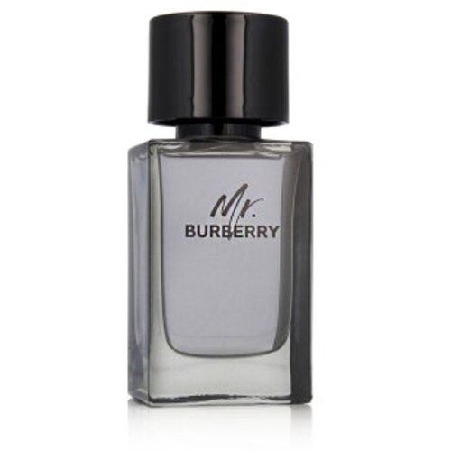 Burberry Mr. Eau De Toilette 100 ml (man) Cijene