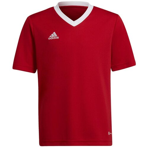 Adidas Entrada 22 Jsy Slike