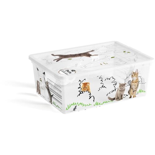 Kis Bela plastična škatla za shranjevanje s pokrovom 37x26x15 cm C Box Style – Cene