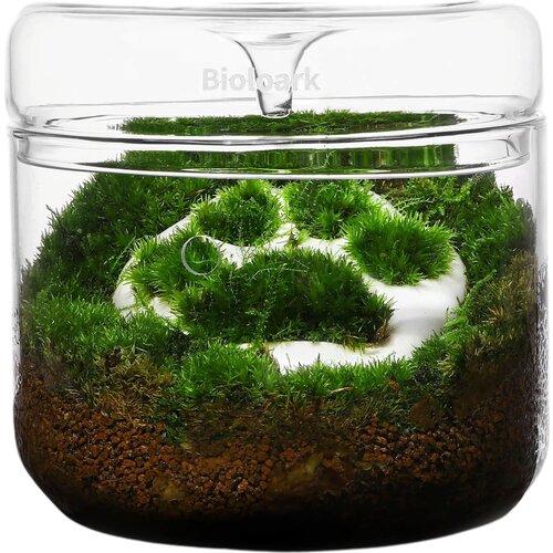  Luji Glass Cup MY-120 - 1 k. Slike