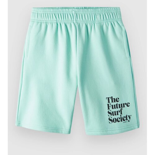 O'neill Future Surf Kids Kratke hlace beach glass Cene
