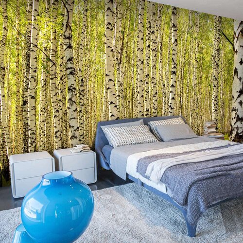  Tapeta - Birch forest 450x270 Slike